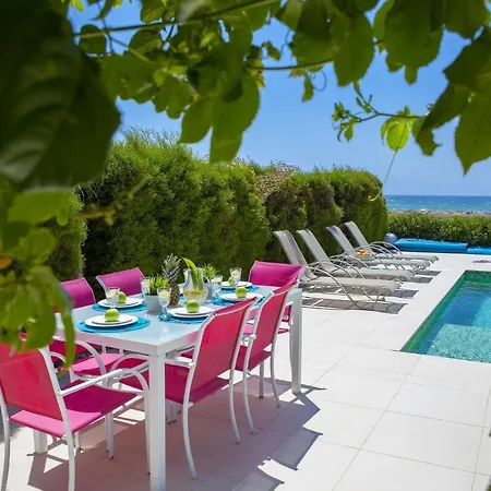 Ayia Thekla Seafront Lavender Айя-Напа
